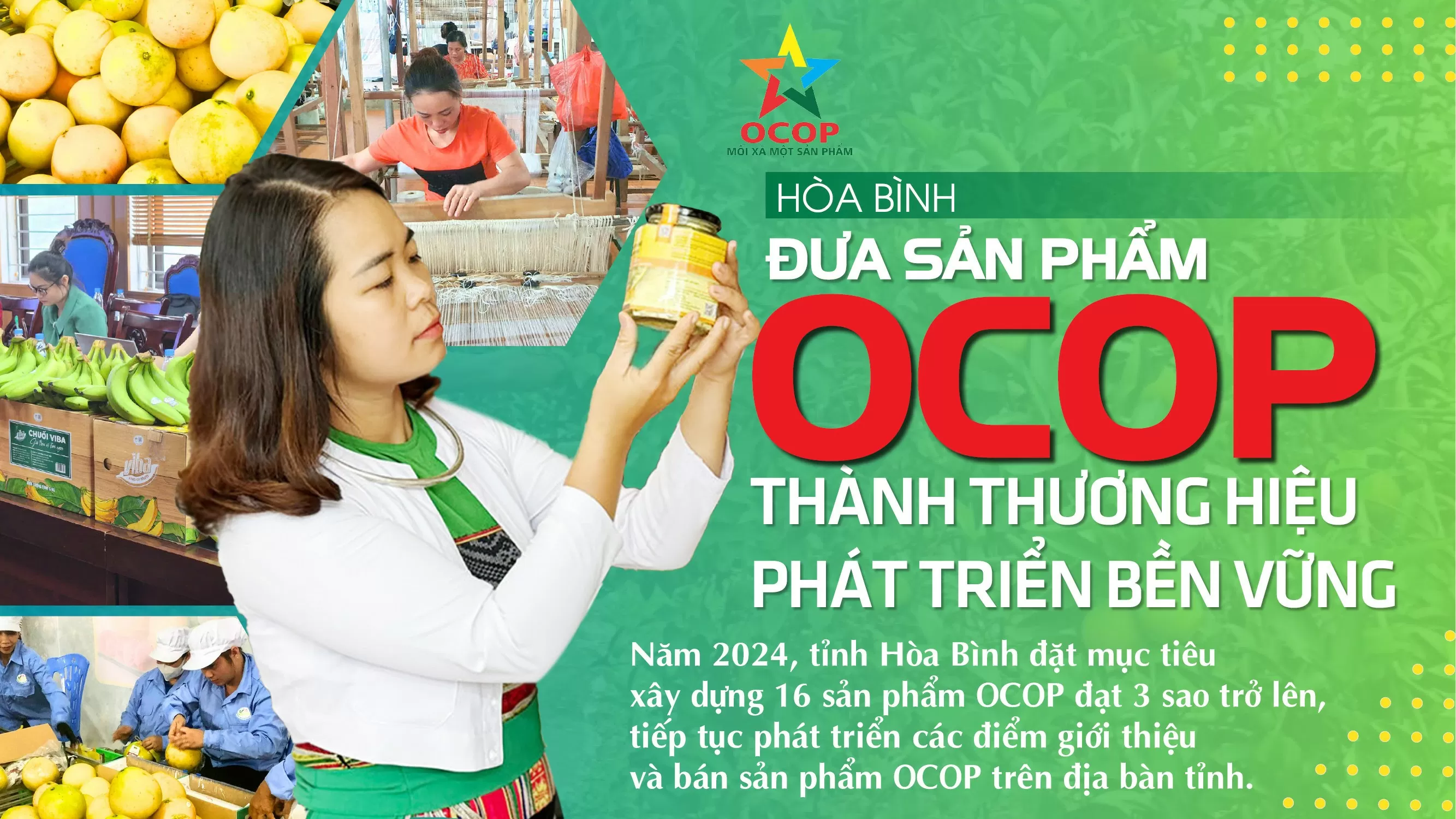 Hoa Binh: Convertir los productos de OCOP en marcas de desarrollo sostenible