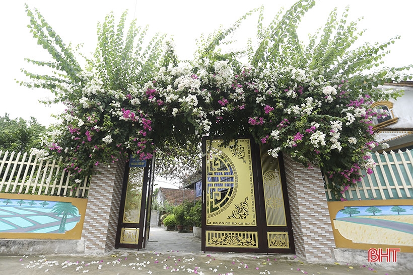 La buganvilla morada florece en el nuevo paisaje rural de Can Loc