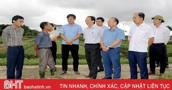 Hướng dẫn, hỗ trợ Thạch Hà xây dựng huyện nông thôn mới nâng cao