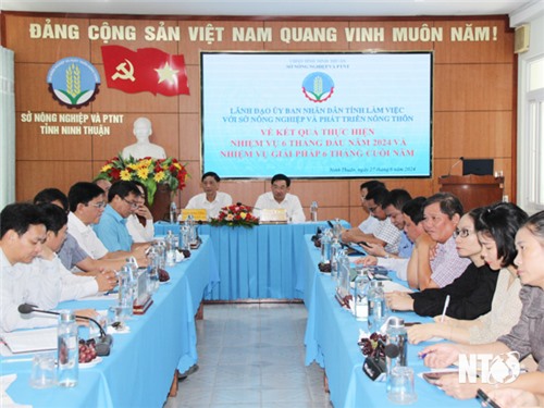 Provincial People's Committee leaders work with the Department of Agriculture and Rural Development