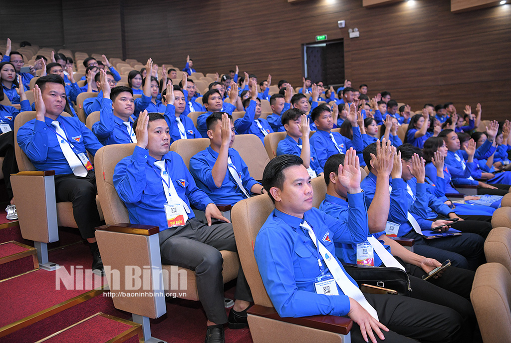 Première session du 6e Congrès des délégués de l'Union de la jeunesse vietnamienne de la province de Ninh Binh, mandat 2024-2029