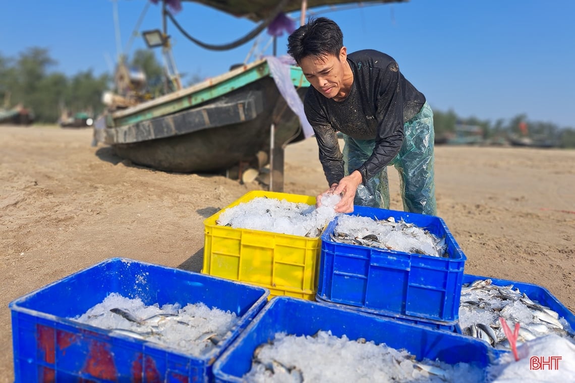 Mừng Quốc khánh, ngư dân Nghi Xuân hăng say bám biển