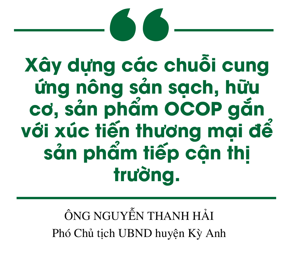 Building new rural areas in Ha Tinh: Going into depth, effectively and sustainably (part 2): Developing rural economy towards modernization and integration