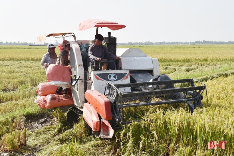 មុខ​វិជ្ជា​ដែល​ធ្វើ​ឱ្យ​ជន​បទ​ថ្មី​មាន​ការ​រីក​ចម្រើន​នៅ​ស្រុក​ឆ្នេរ​ Ha Tinh