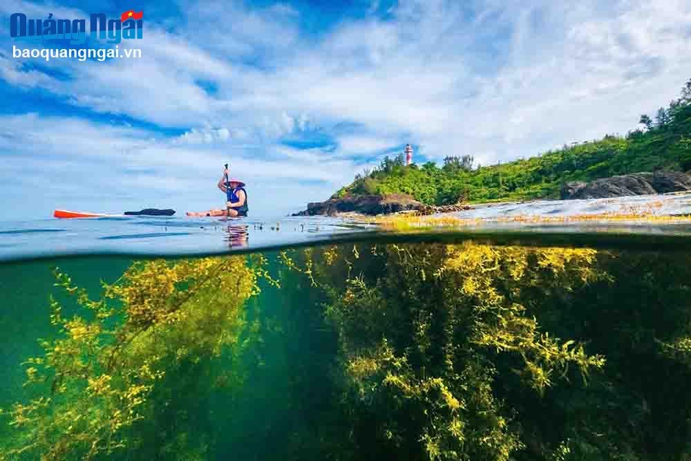 ทะเลบิ่ญเจิว (บิ่ญเซิน) มีสีฟ้าใส ภาพ: ALEX CAO 
