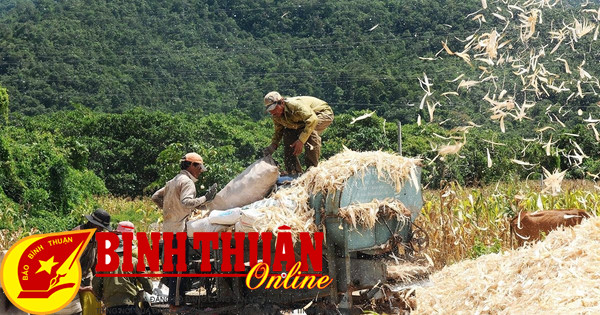 Politique visant à aider les minorités ethniques et les zones montagneuses à se développer durablement