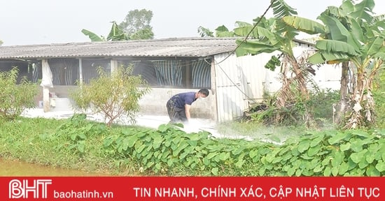 Đồng loạt tiêu độc, khử trùng ngăn dịch tả lợn châu Phi