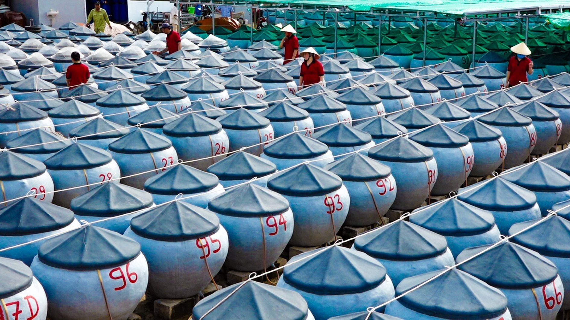 usine de production de sauce de poisson à anh n.-lan-5-.jpg