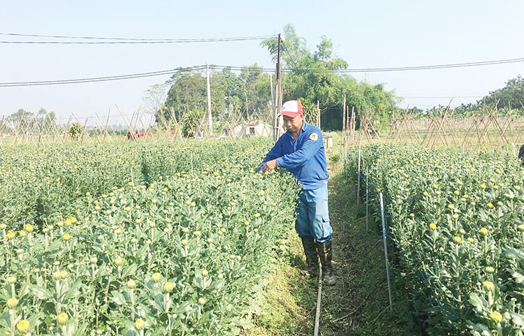 Preservar y cultivar la artesanía tradicional