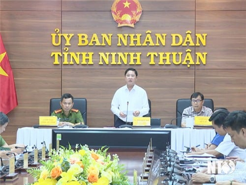 Hội nghị giao ban thúc đẩy triển khai các nhiệm vụ của Đề án 06/CP