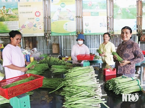 Nông nghiệp trụ đỡ của nền kinh tế