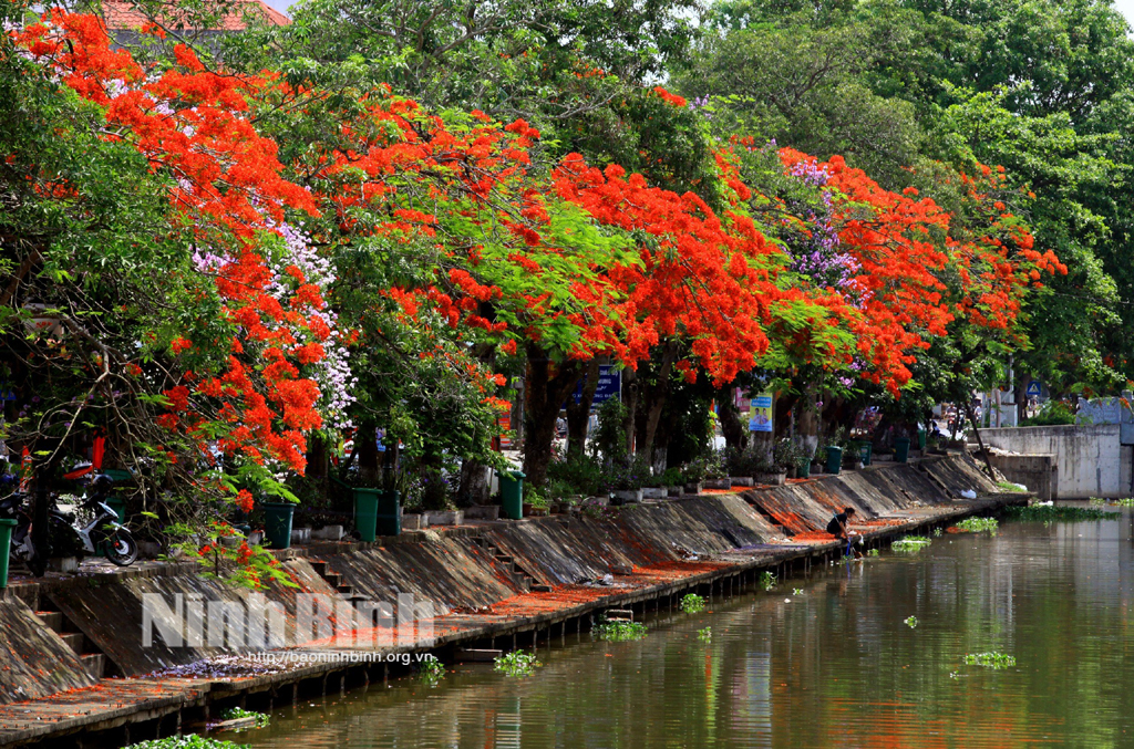 Sông Ân mùa Hạ về