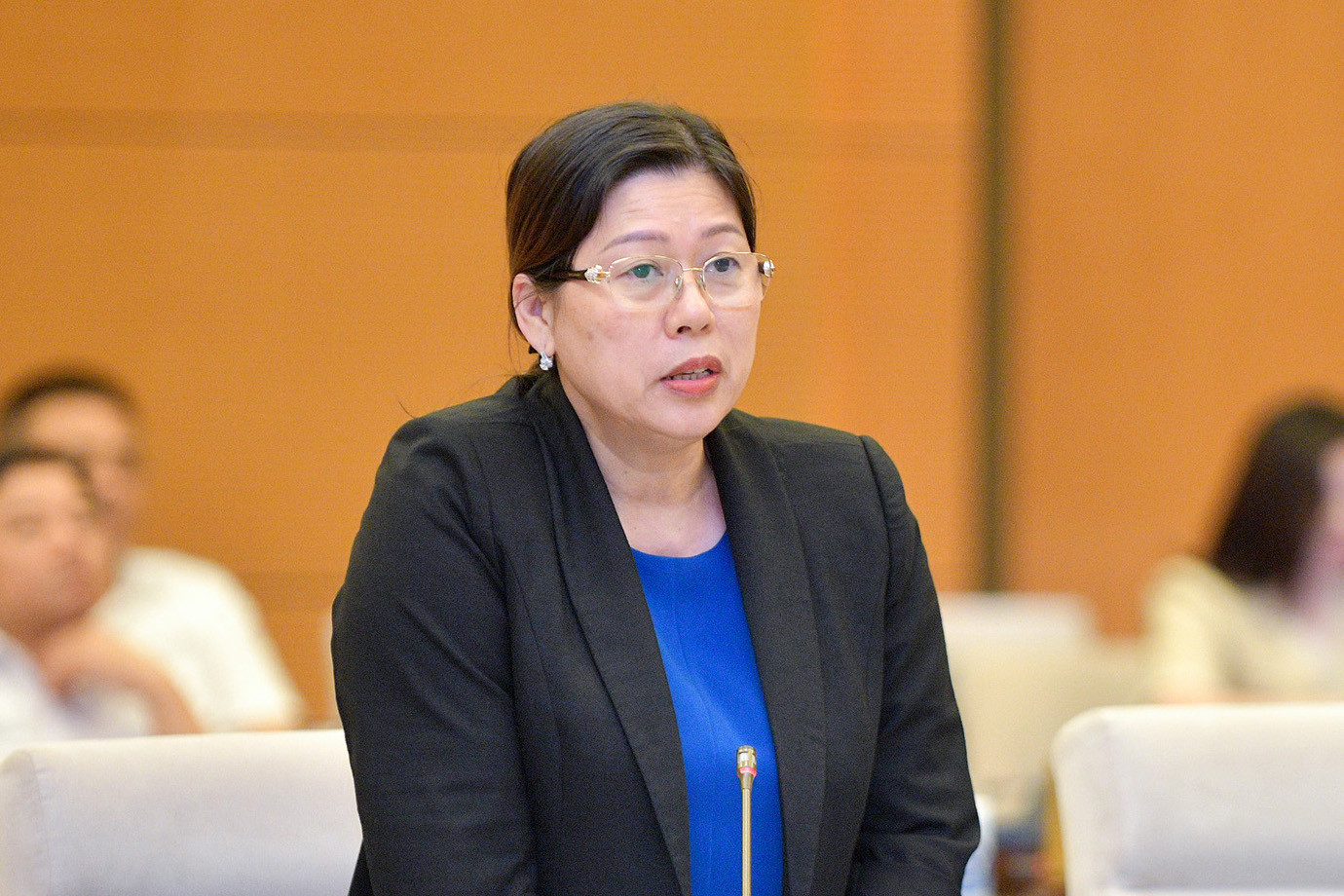 202310111945161991_Vice-ministre des Ressources naturelles et de l'Environnement Nguyen Thi Phuong Hoa.jpg