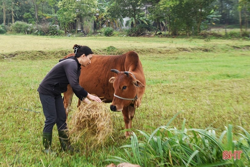 Poor people of Tan Son are grateful to the village chief