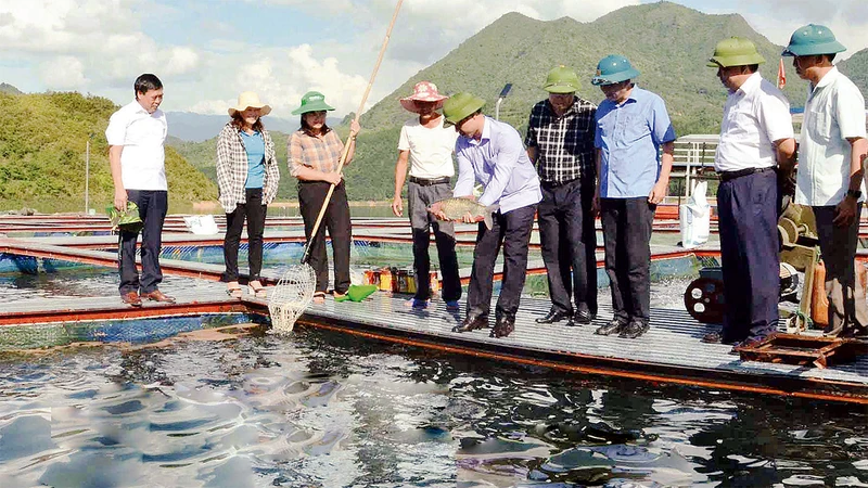 Desbloquear la reducción de la pobreza con los agricultores