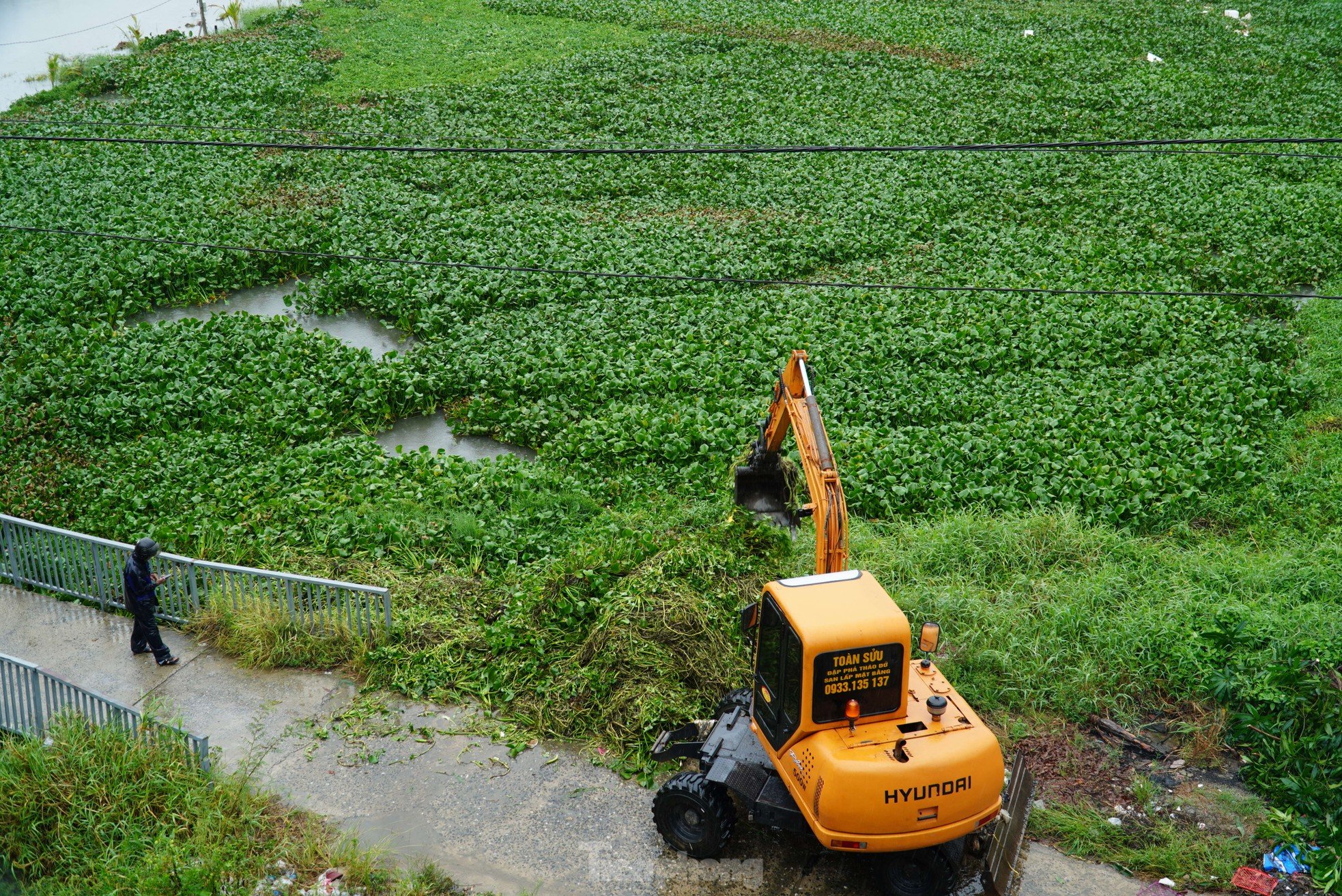 Nach anhaltendem Regen steht das größte Gemüseanbaugebiet in Da Nang unter Wasser. „Die Menschen können nicht rechtzeitig reagieren“, Foto 13.