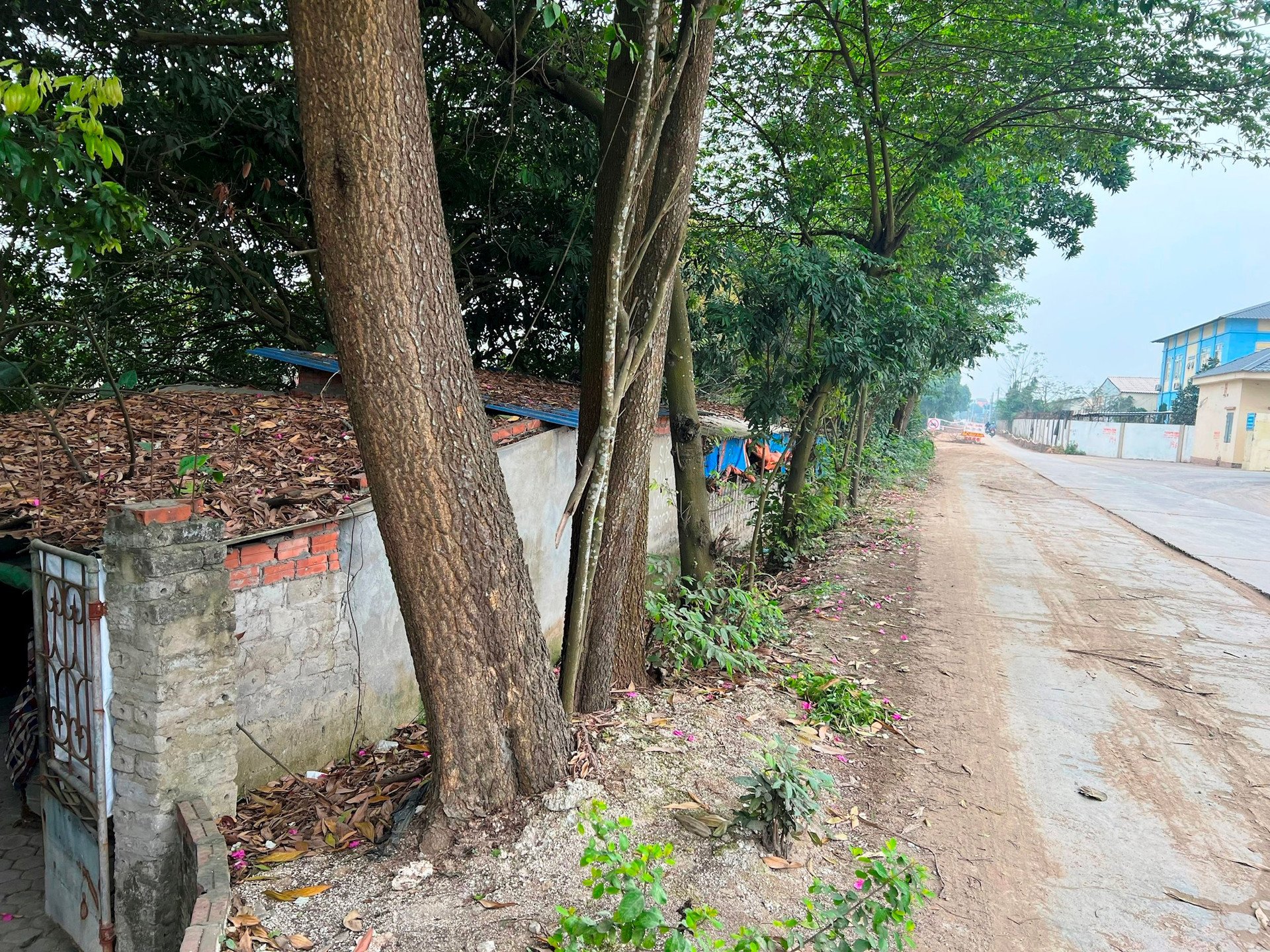 Why was Mrs. Xuan's house in Ai Quoc ward not compensated or supported for site clearance?