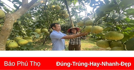 Trên 42 tỷ đồng hỗ trợ phát triển nông nghiệp, nông thôn