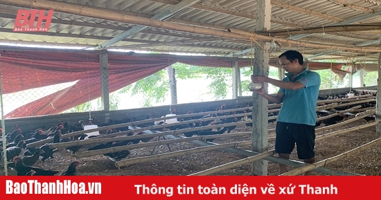 Chăn nuôi theo chuỗi giá trị