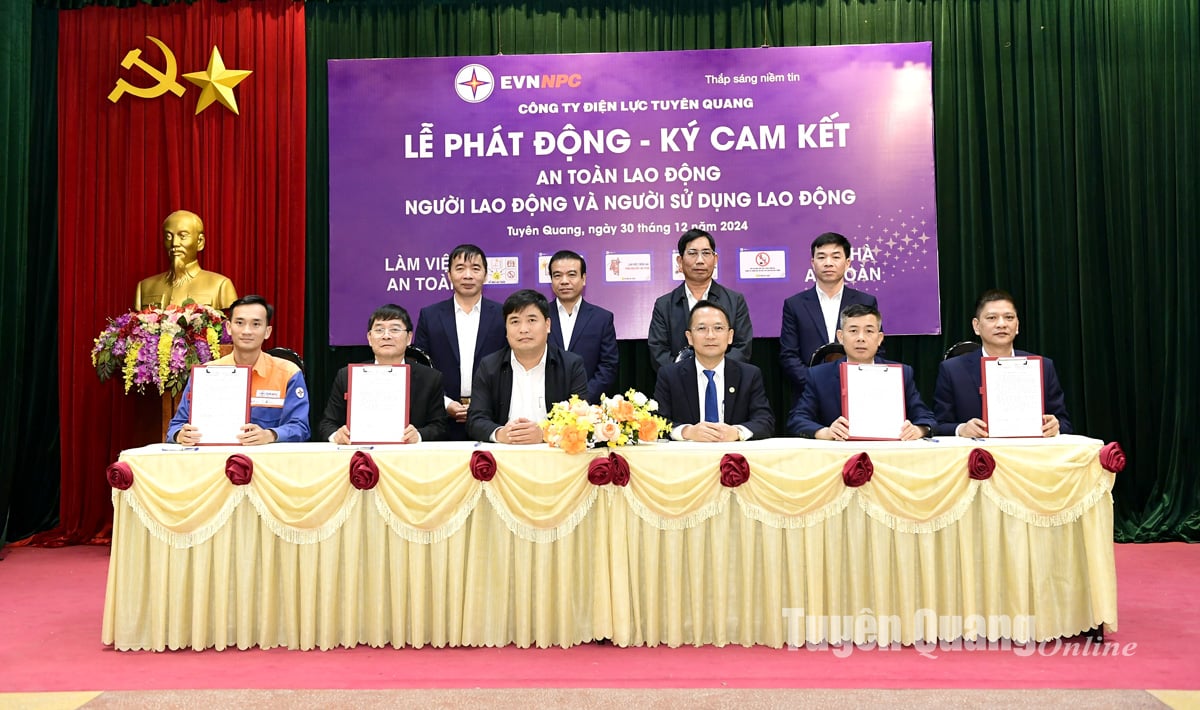 Tuyen Quang Electricity Company launched and signed a commitment to labor safety.