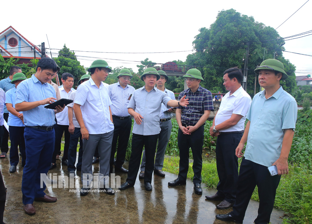 The Chairman of the Provincial People's Committee inspected the field work of investment preparation and site clearance for the Ninh Binh - Hai Phong expressway construction investment project.