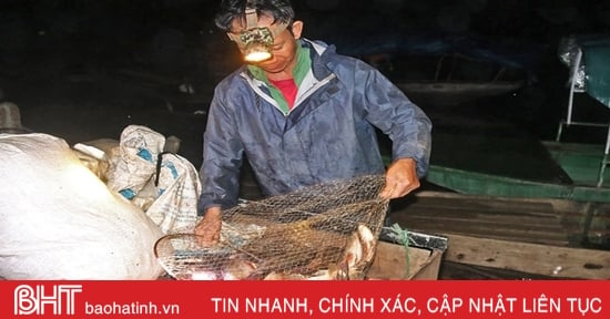 Stabilizing freshwater production, Ha Tinh harvests more than 9,200 tons of aquatic products