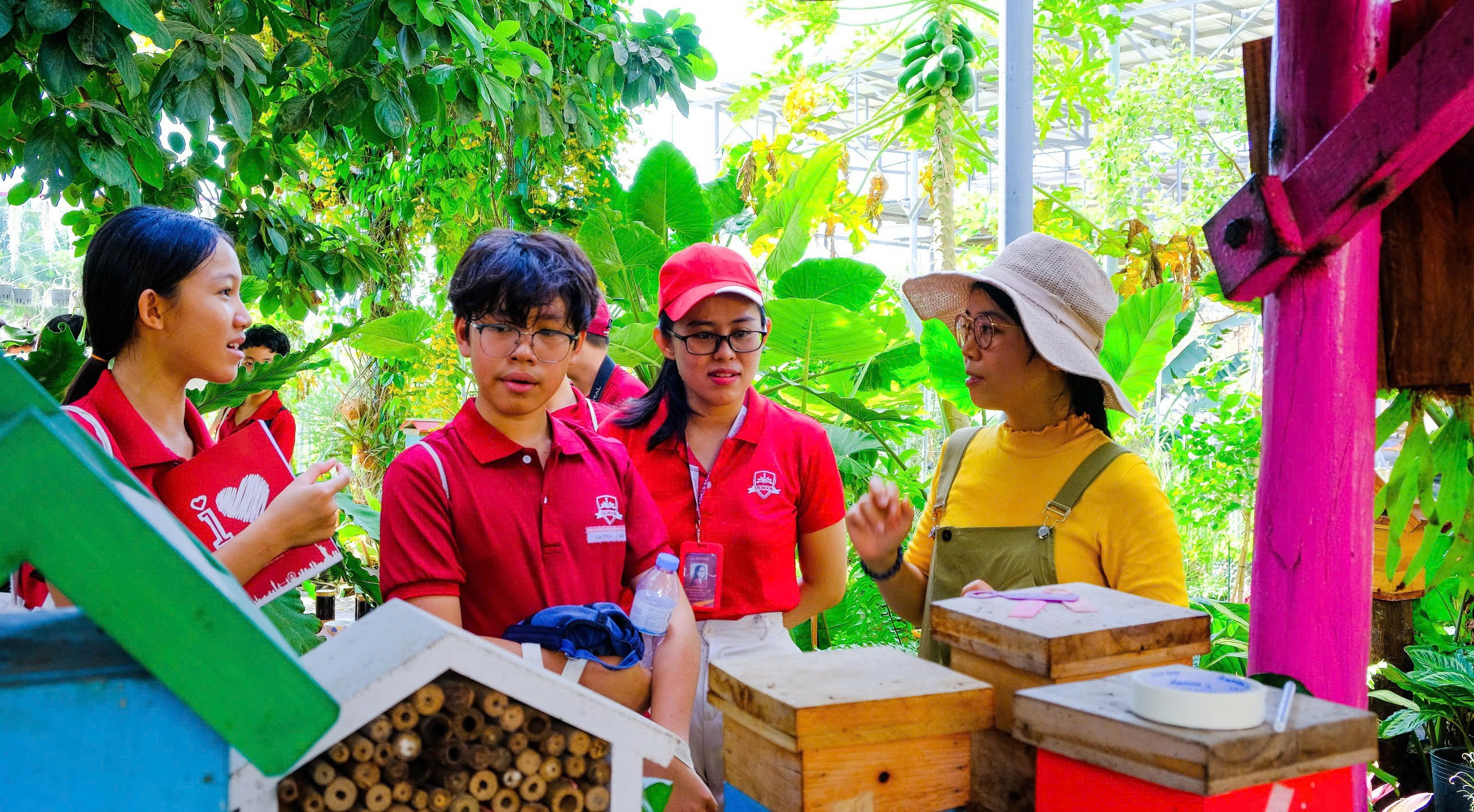 Nuôi con ong nhỏ cho ra chất ngọt ai nếm cũng thích của nữ doanh nhân trẻ đạt sao OCOP ở Ninh Thuận - Ảnh 2.