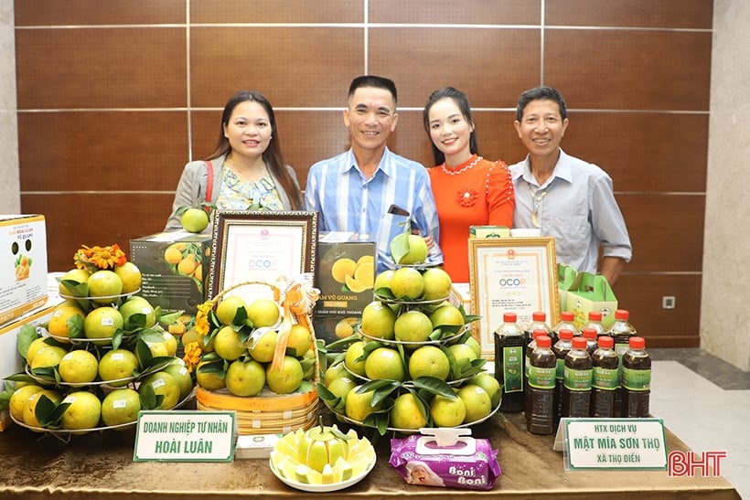 Las naranjas Ha Tinh de temporada temprana 