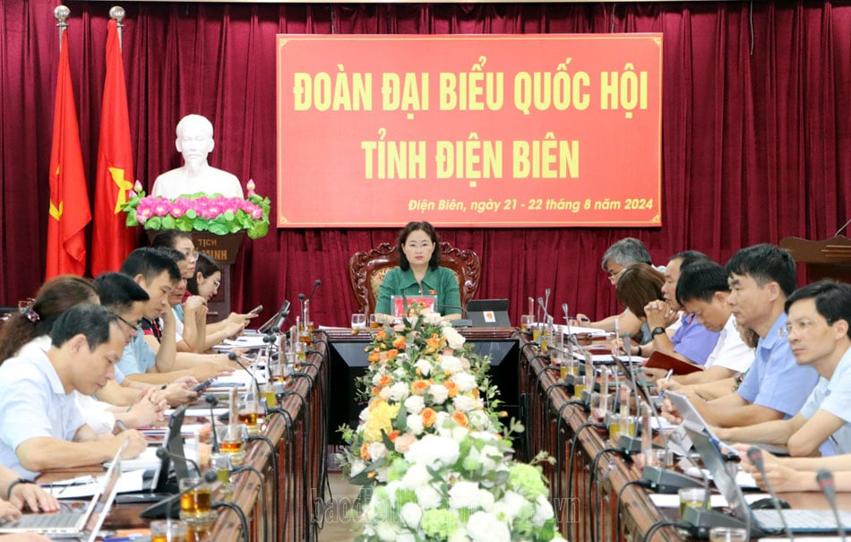 National Assembly Delegate of Dien Bien Province questions the Government Inspector General about receiving citizens, complaints and denunciations