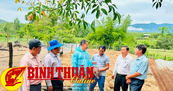 Hứa hẹn làm “sáng” kinh tế chăn nuôi truyền thống