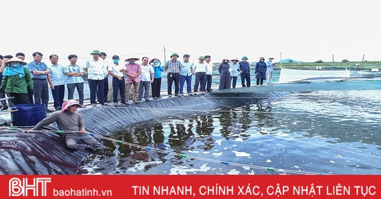 Hà Tĩnh có gần 630 ha nuôi tôm thâm canh công nghệ cao