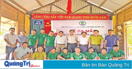 Bán tín chỉ carbon, tiềm năng từ rừng đến thảm cỏ biển