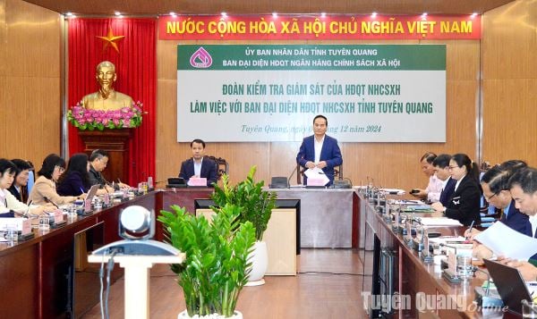 Đoàn công tác Hội đồng quản trị Ngân hàng Chính sách xã hội Việt Nam làm việc tại tỉnh Tuyên Quang