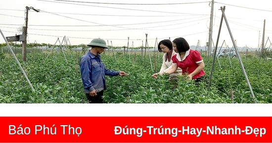 Nhân rộng những mô hình khuyến nông hiệu quả