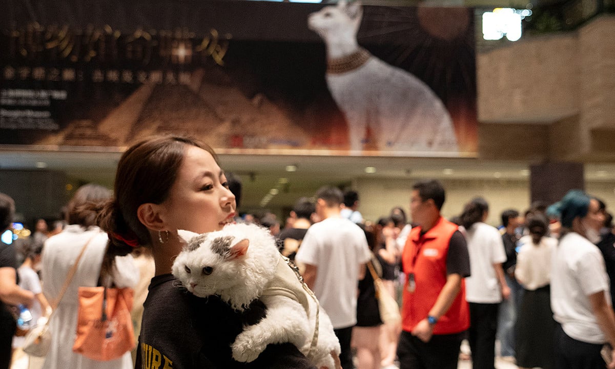 Chinesisches Museum eröffnet Nachttour für Katzen