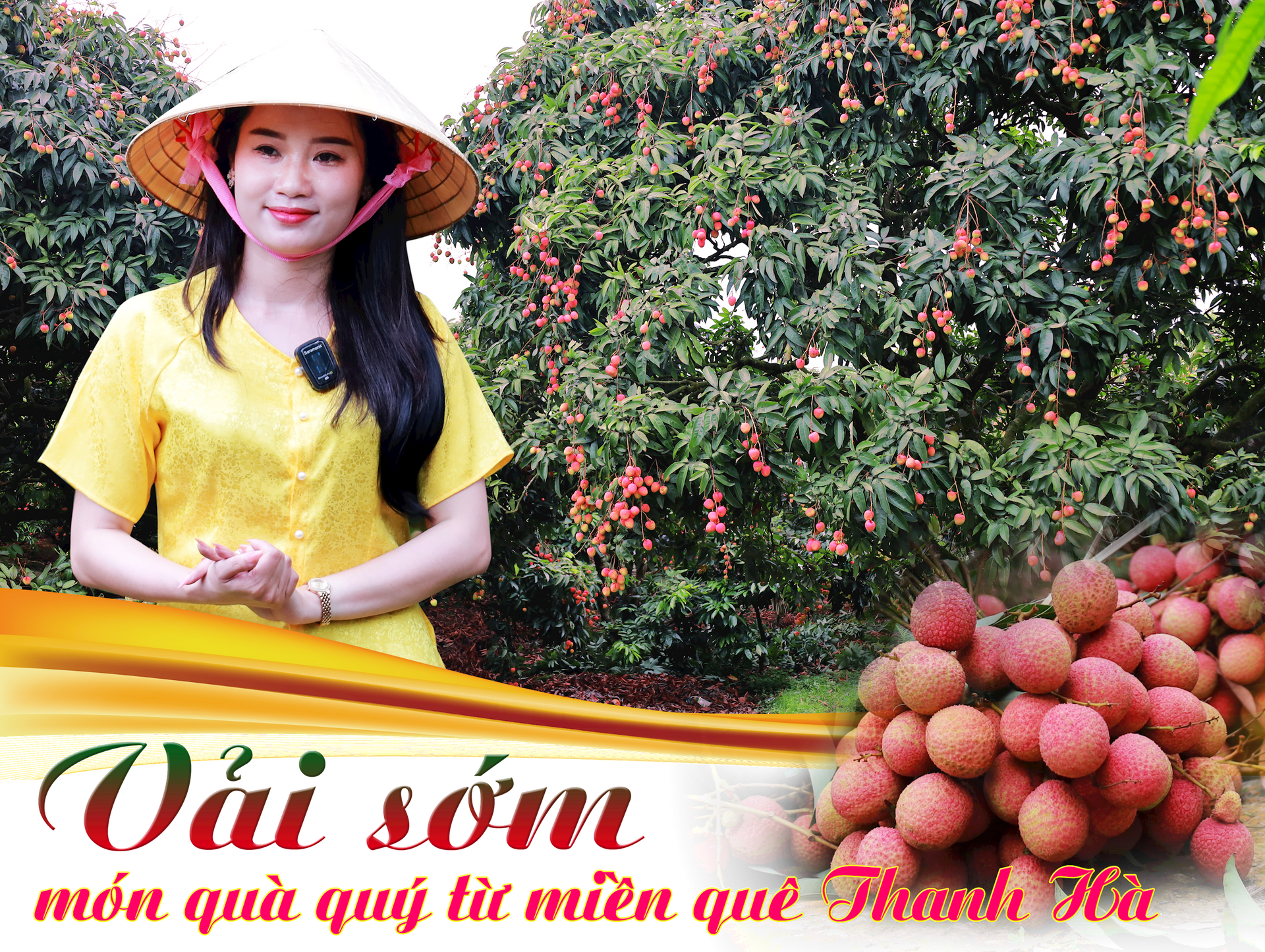 cover4(1).png