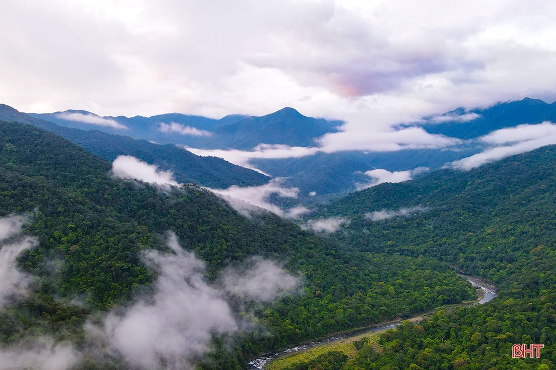 Voyage à la découverte du parc national de Vu Quang.