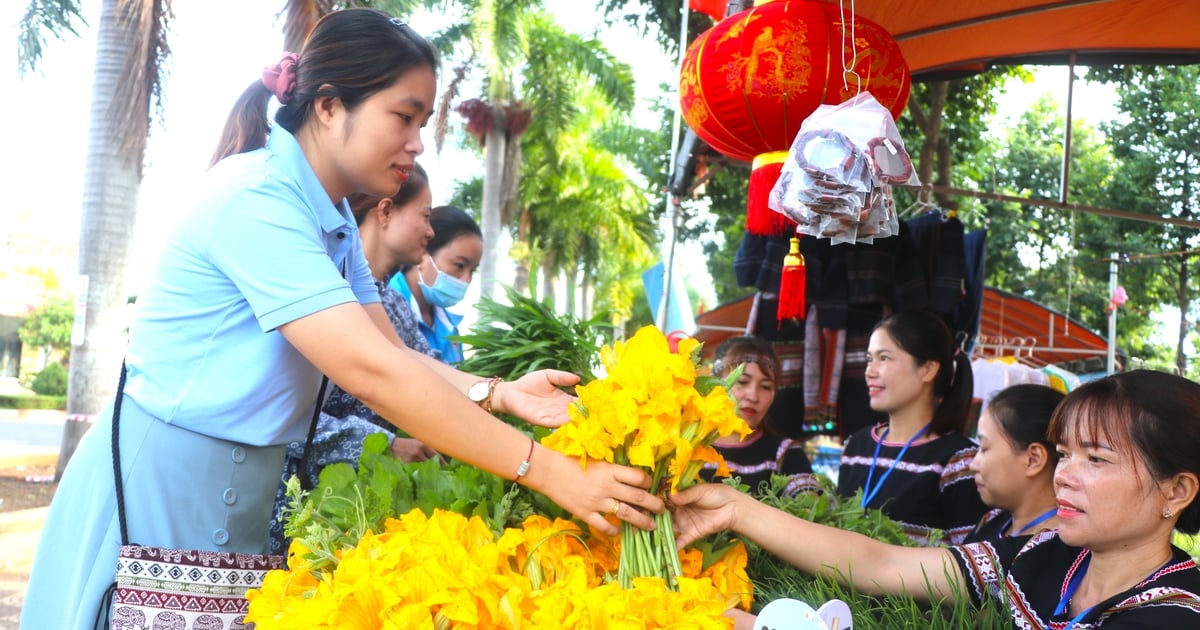 From July 25 to 28, Kbang District Tourism Festival will take place.