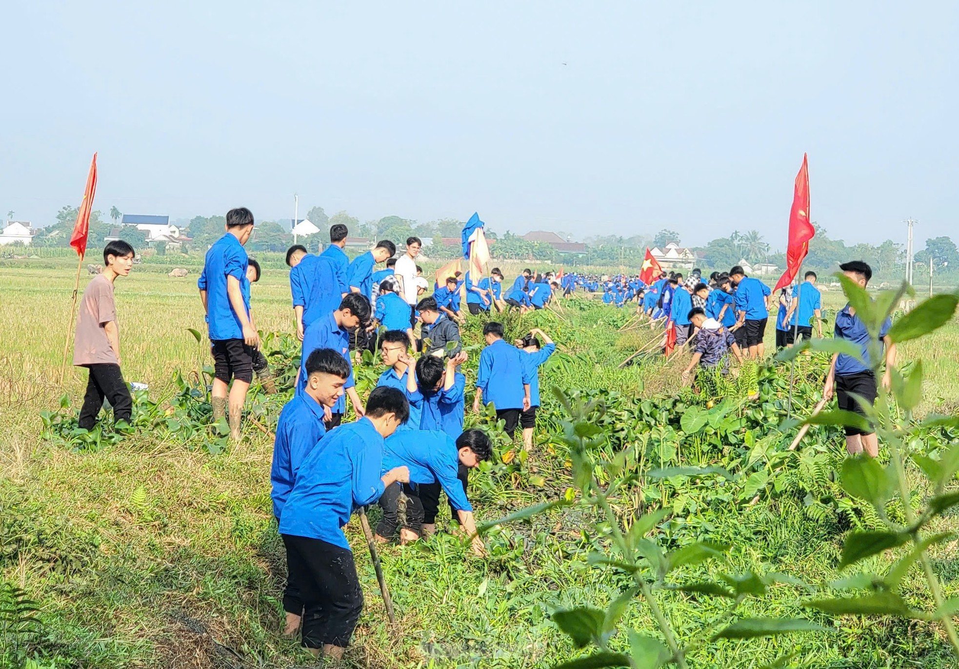 Hàng nghìn đoàn viên thanh niên nạo vét kênh mương, hưởng ứng ngày toàn dân làm thủy lợi ảnh 7