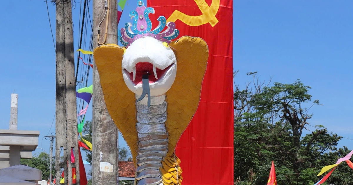 « Miss Snake » à Phu Yen attire l'attention