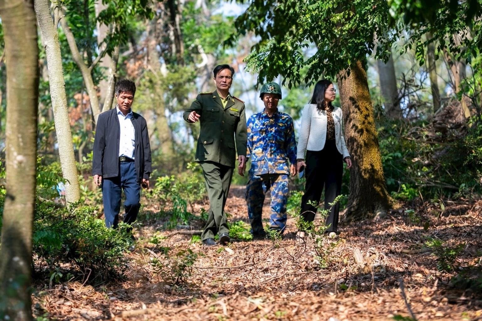 Hai Duong unterhält während Tet Waldbrandpräventions- und Kampftruppen