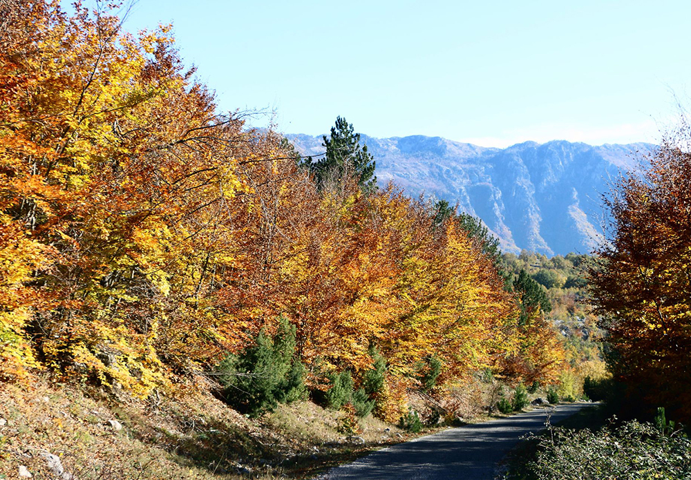 10 lugares para ver Europa en otoño