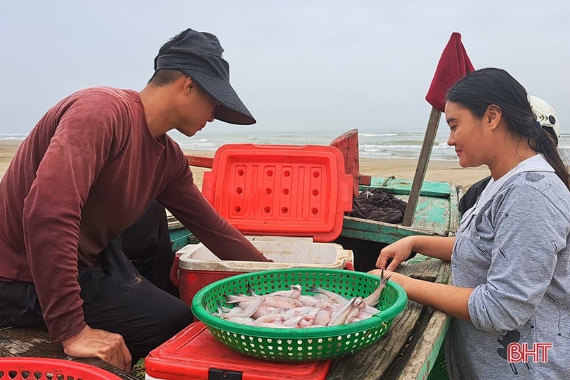 Las gachas de pescado Nghi Xuan son frescas y deliciosas, a buen precio.