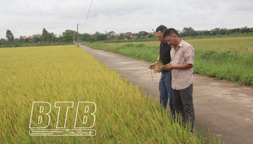 การผลิต VietGAP - โมเดลเล็กในกระแสใหญ่