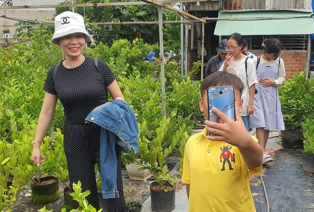 Close-up kebun buah 'unik' di Binh Duong foto 10