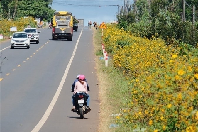 Thác Phú Cường nằm cách thành phố Pleiku chỉ 44km. Từ trung tâm thành phố đi về phía đông nam qua núi Hàm Rồng, chạy dọc theo quốc lộ 14 bạn sẽ đến với trung tâm hành chính huyện Chư Sê, từ đó rẽ trái theo quốc lộ 25 đi khoảng 5km là sẽ thấy biển báo chỉ dẫn đường vào thác.