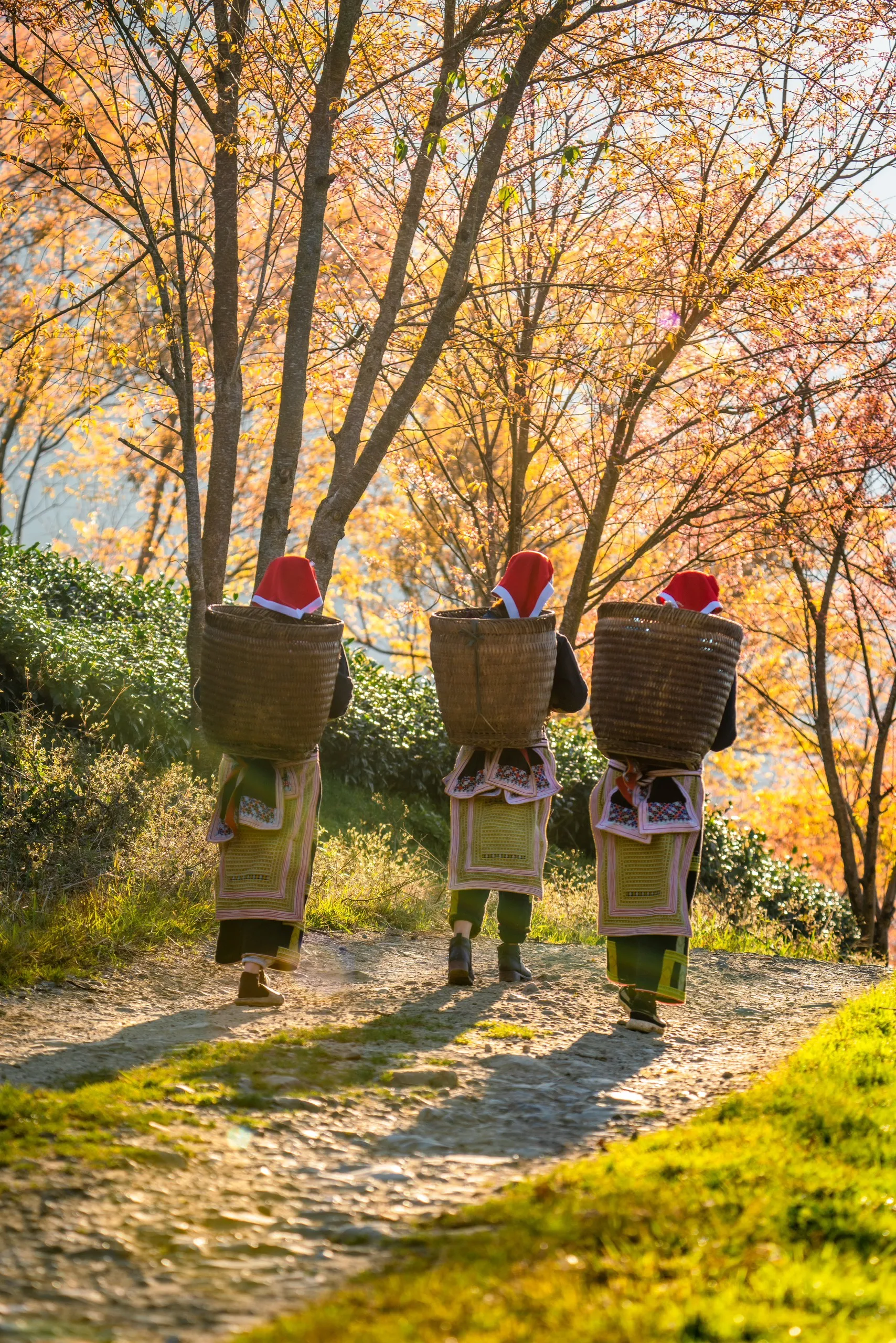 베트남 여행을 가야 하는 10가지 이유