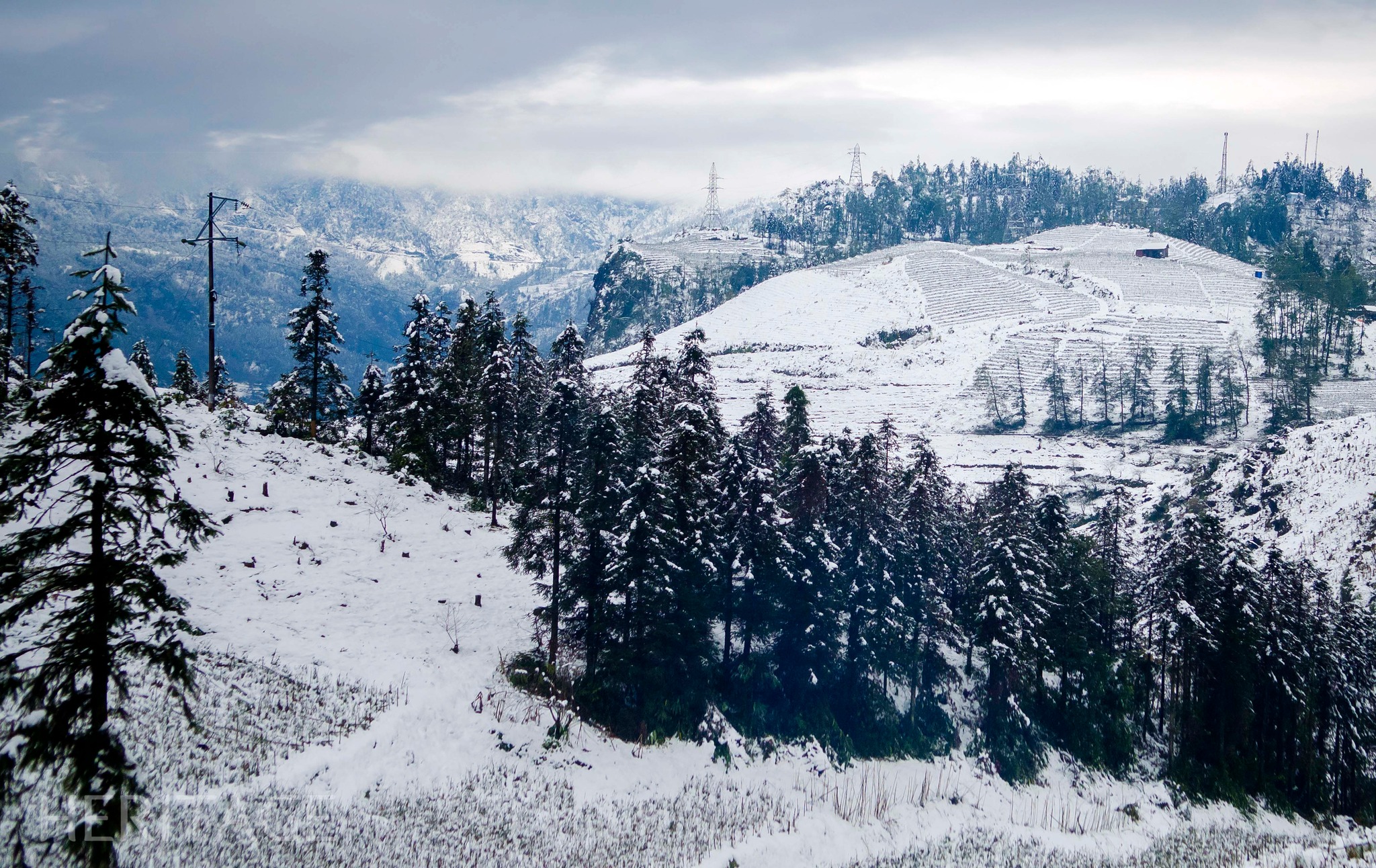 Maybe a picture of a ski slope and fog