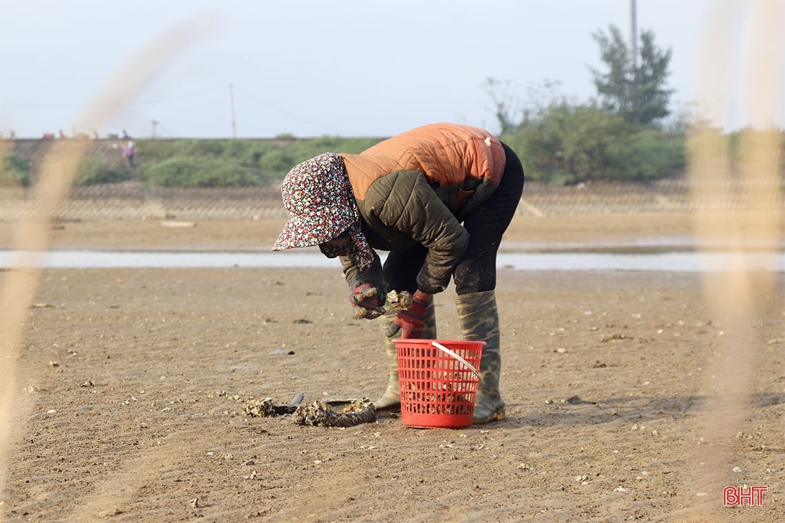 Miệt mài mưu sinh nơi cửa biển