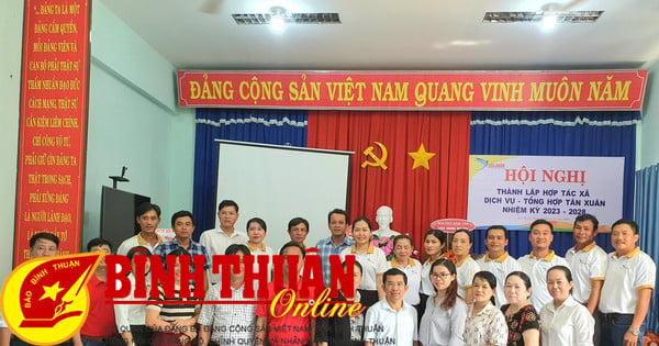 Thành lập hợp tác xã dịch vụ tổng hợp Tân Xuân (Hàm Tân)